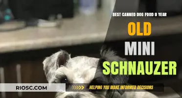 Top Picks for Your Senior Mini Schnauzer: The Best Canned Dog Foods for a 9-Year-Old Companion