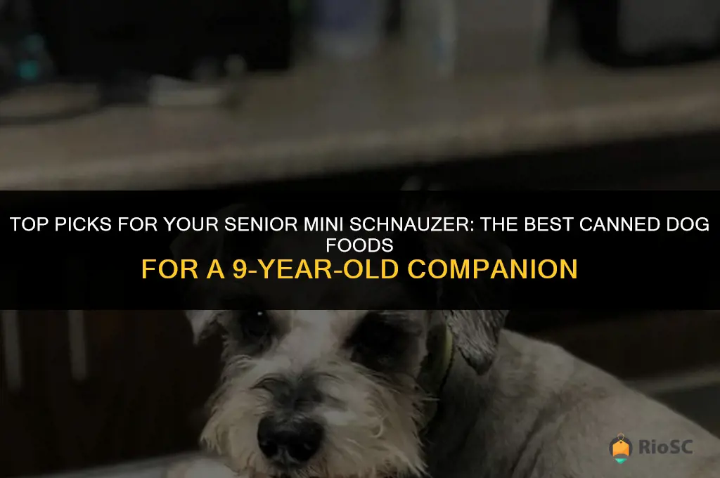 best canned dog food 9 year old mini schnauzer