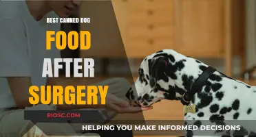 Top Picks for Post-Surgical Recovery: The Best Canned Dog Foods to Support Your Pet's Healing Process