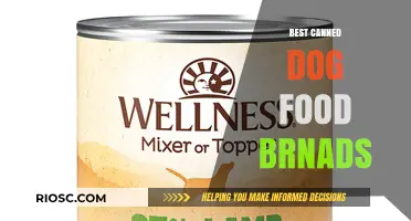 Top-Rated Canned Dog Food Brands: A Comprehensive Guide for Pet Owners