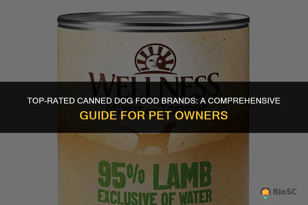 best canned dog food brnads