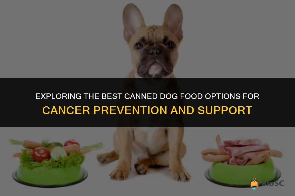 best canned dog food cancer