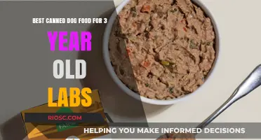 Top Picks for Your Furry Friend: The Best Canned Dog Food for 3-Year-Old Labs
