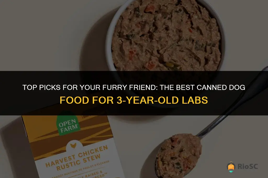 best canned dog food for 3 year old labs