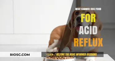 Top Picks for Soothing Your Dog's Acid Reflux: The Best Canned Dog Foods