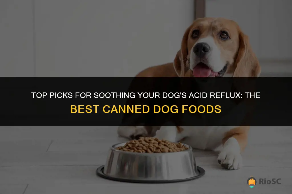 best canned dog food for acid reflux