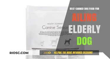 Nutritious Comfort: Top Canned Dog Food Picks for Your Aging Furry Friend