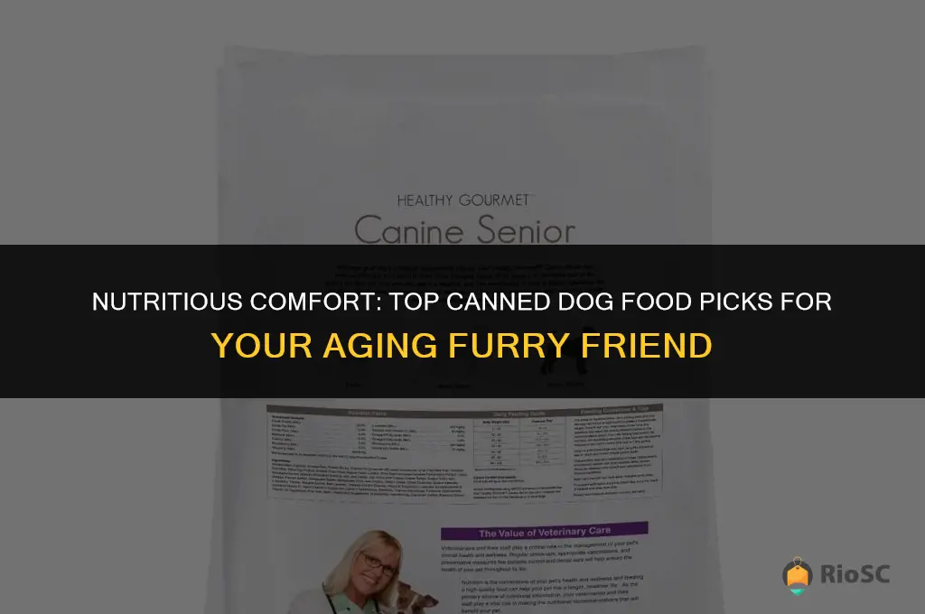 best canned dog food for ailing elderly dog