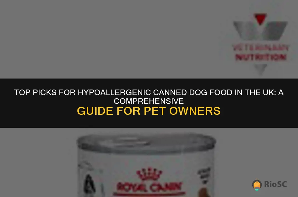 best canned dog food for allergies uk