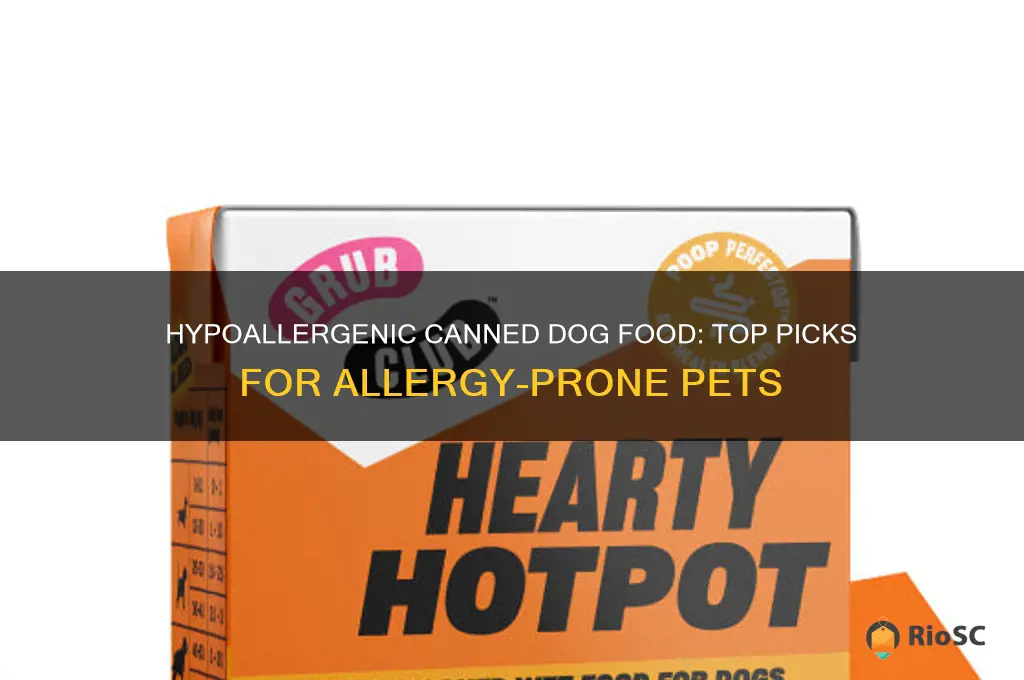 best canned dog food for allergies