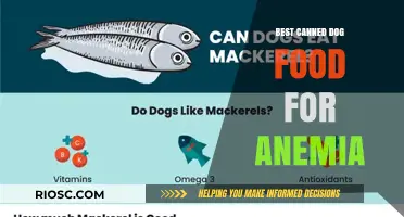 Top Picks for Canned Dog Food to Combat Anemia: A Comprehensive Guide