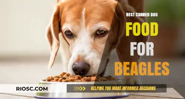 Top Picks for Beagle Nutrition: The Best Canned Dog Foods