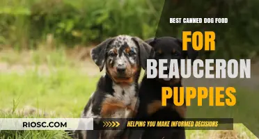 Top-Rated Canned Dog Food Options for Beauceron Puppies: A Comprehensive Guide