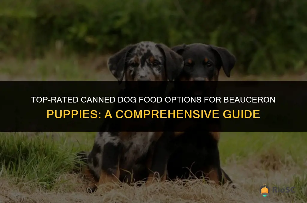best canned dog food for beauceron puppies