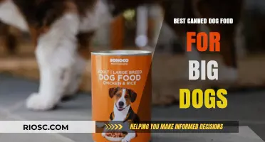 Top-Rated Canned Dog Food Options for Large Breeds: A Comprehensive Guide