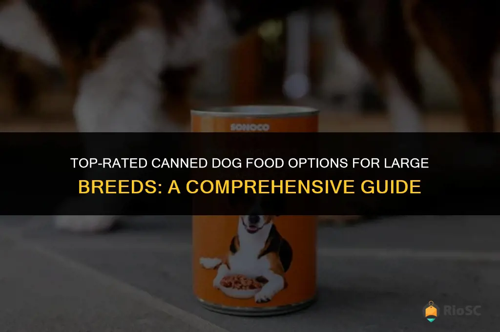 best canned dog food for big dogs