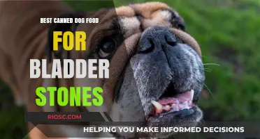 Top Picks for Canned Dog Food to Help Prevent Bladder Stones