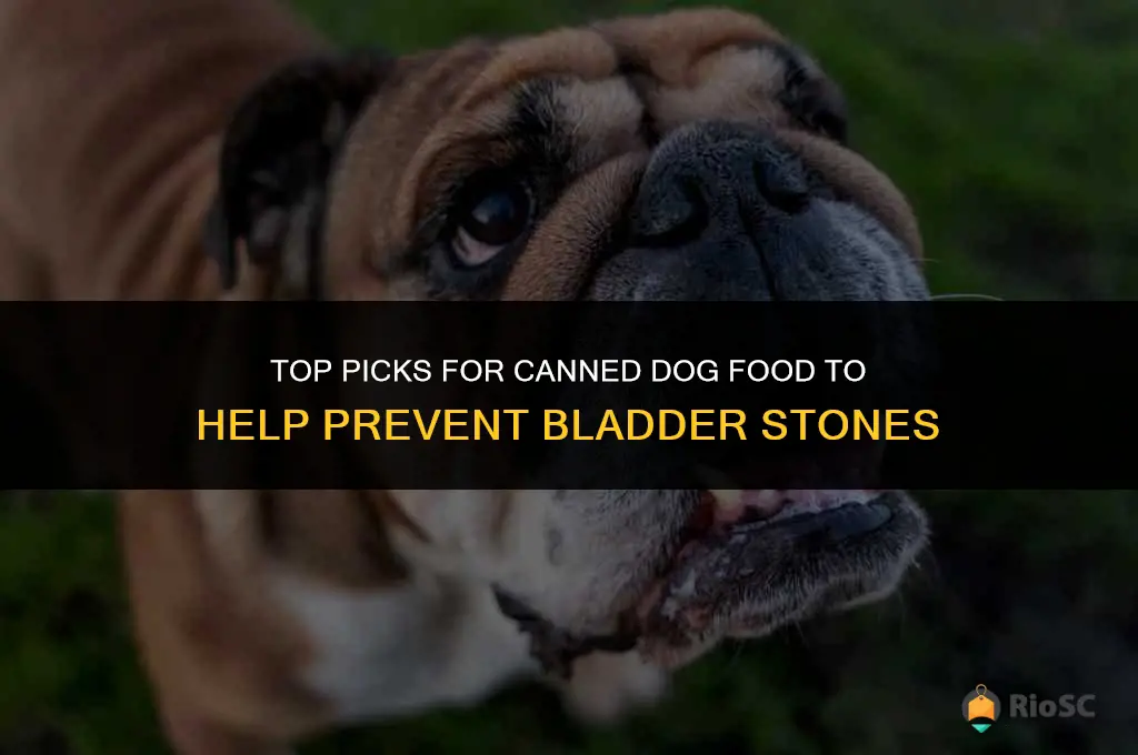 best canned dog food for bladder stones