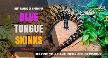 Top Picks: Premium Canned Dog Food Options for Blue Tongue Skinks