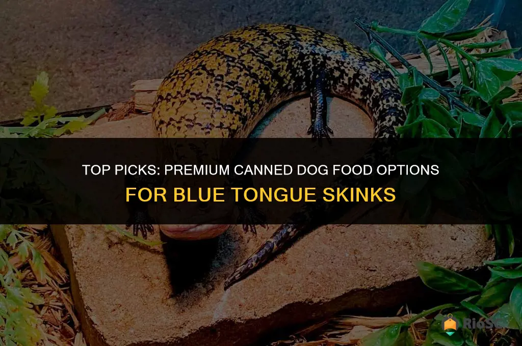 best canned dog food for blue tongue skinks