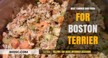 Top Picks for Your Boston Terrier: The Best Canned Dog Food Options