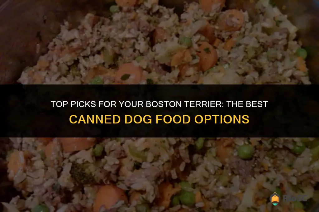 best canned dog food for boston terrier