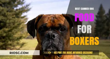 Top Picks for Your Boxer's Diet: The Best Canned Dog Foods