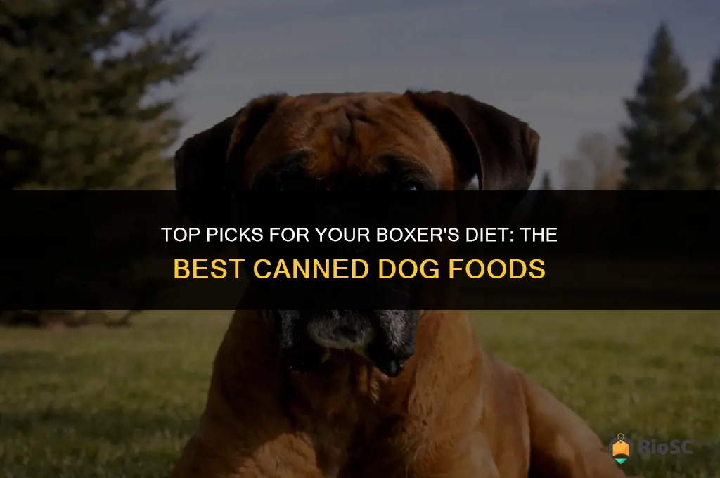 best canned dog food for boxers