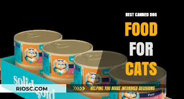 Purr-fectly Balanced: Top Canned Dog Food Picks for Your Feline Friend