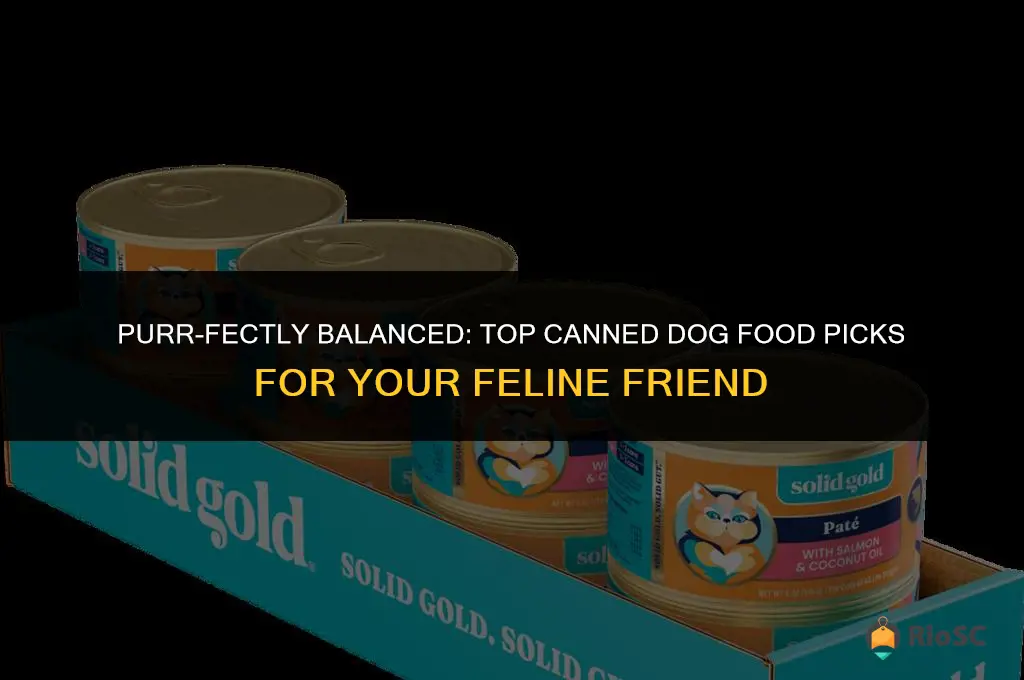 best canned dog food for cats
