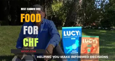Top Picks for Heart-Healthy Canned Dog Food: Nourishing Your Pet with Care