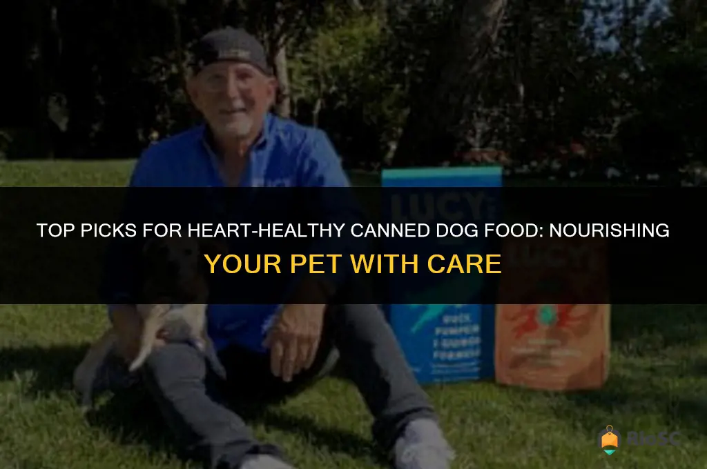 best canned dog food for chf
