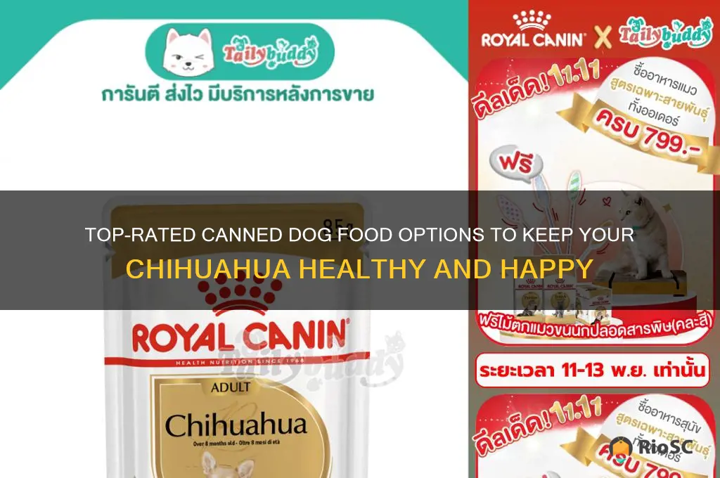 best canned dog food for chihuahua