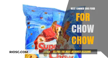 Top-Rated Canned Dog Food Options for Your Chow Chow Companion