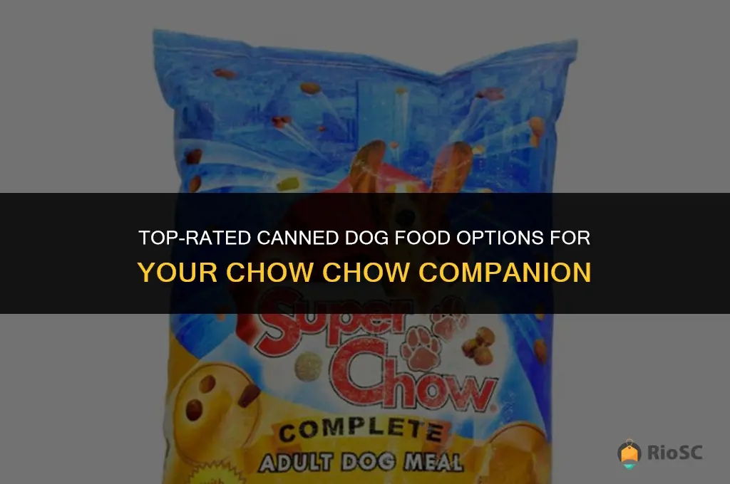 best canned dog food for chow chow