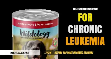 Top Picks for Canned Dog Food Supporting Chronic Leukemia Patients