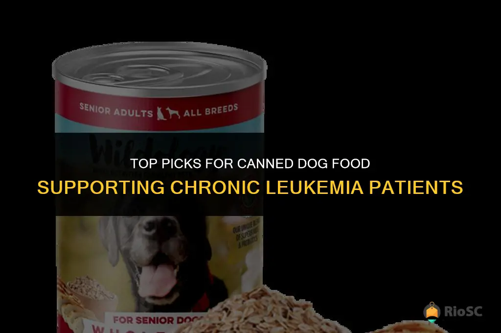 best canned dog food for chronic leukemia