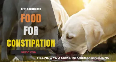 Relieving Canine Constipation: Top Picks for the Best Canned Dog Food