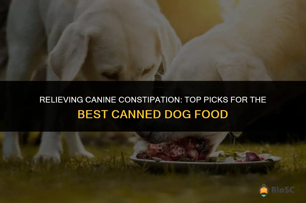 best canned dog food for constipation