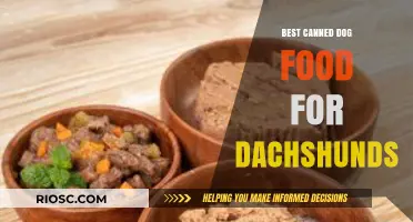 Top Picks for Your Dachshund's Diet: The Best Canned Dog Foods