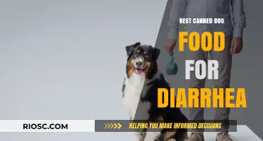 Top Picks for Soothing Your Dog's Diarrhea: The Best Canned Dog Foods for Digestive Health