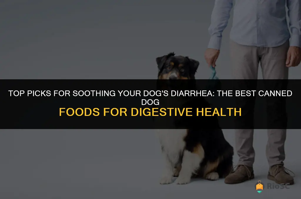 best canned dog food for diarrhea