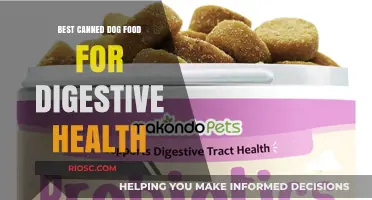 Top Picks for Tummies: The Best Canned Dog Foods to Support Digestive Health