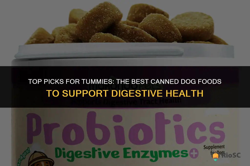 best canned dog food for digestive health