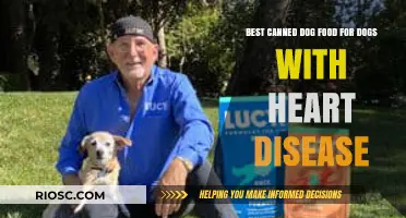 Nutrition for Canine Cardiac Care: Top Canned Dog Food Options for Heart Health