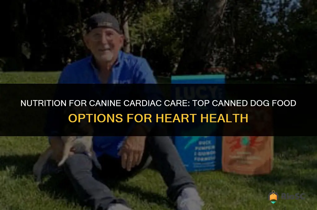best canned dog food for dogs with heart disease