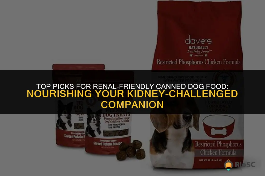 best canned dog food for dogs with kidney disease