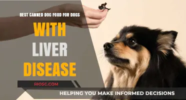 Top Picks for Canned Dog Food Supporting Liver Health in Canines