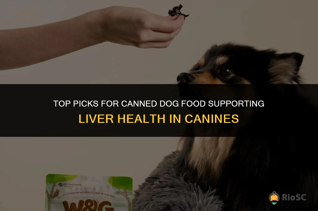 best canned dog food for dogs with liver disease