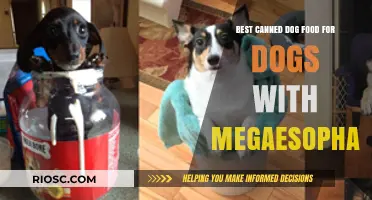 Top Picks for Canned Dog Food: Supporting Dogs with Megaesophagus